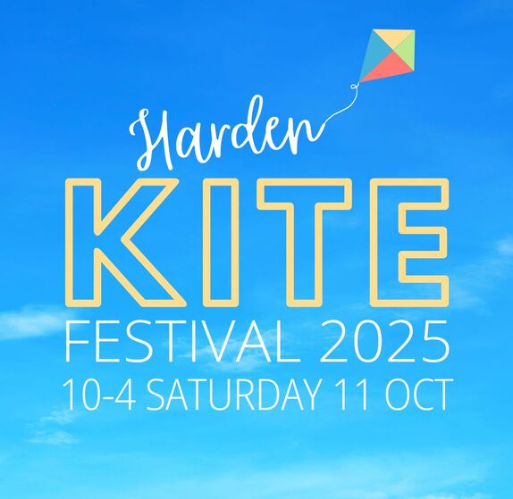 Harden Kite Festival 1 Harden Kite festival 2025